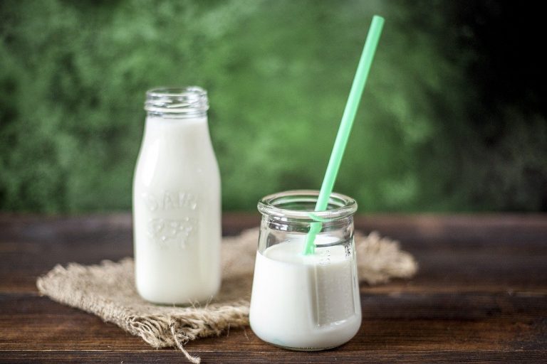 Czy mleko jest niezdrowe? Obalenie nabiałowych mitów. &#8211; Część I
