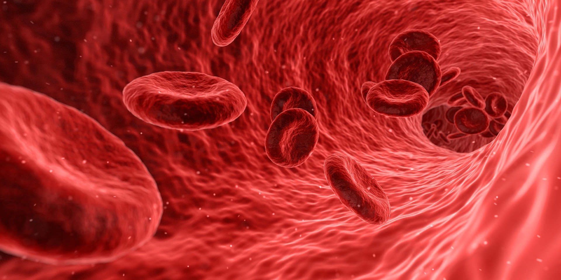 Anemia – objawy, badania diagnostyczne i najlepsze źródła żelaza