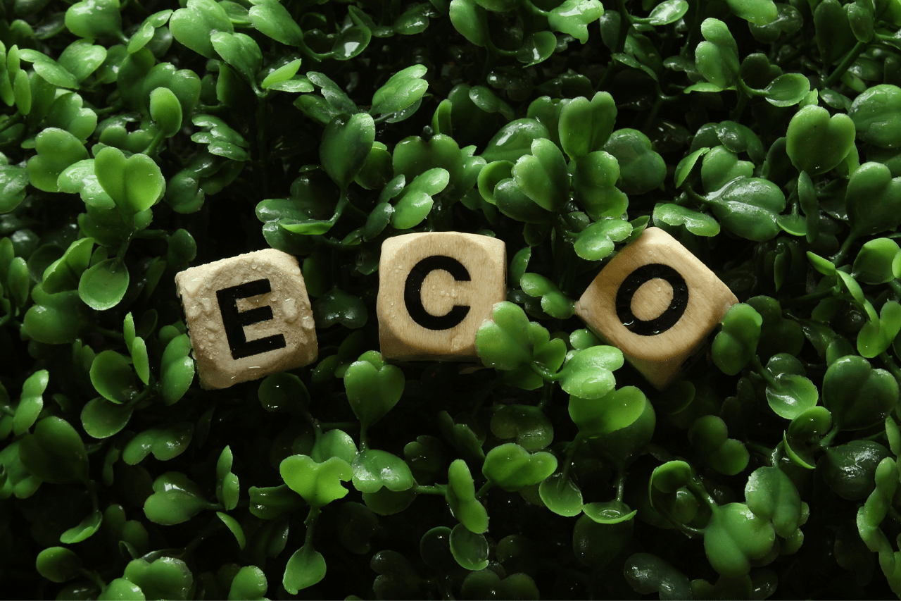 ekologia recykling