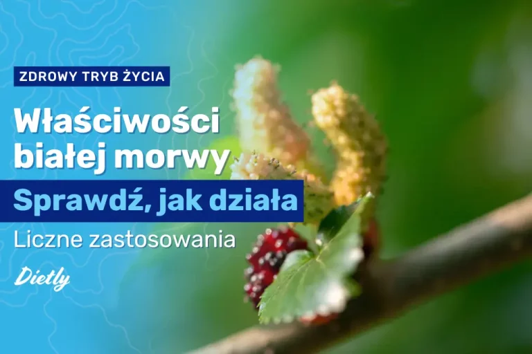 Morwa biała – właściwości, zastosowanie, na co pomaga picie morwy białej?