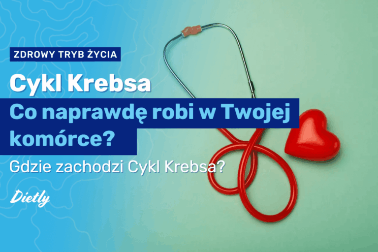 Cykl Krebsa – co naprawdę robi w Twojej komórce?